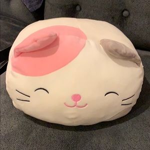 Kitty Pillow!